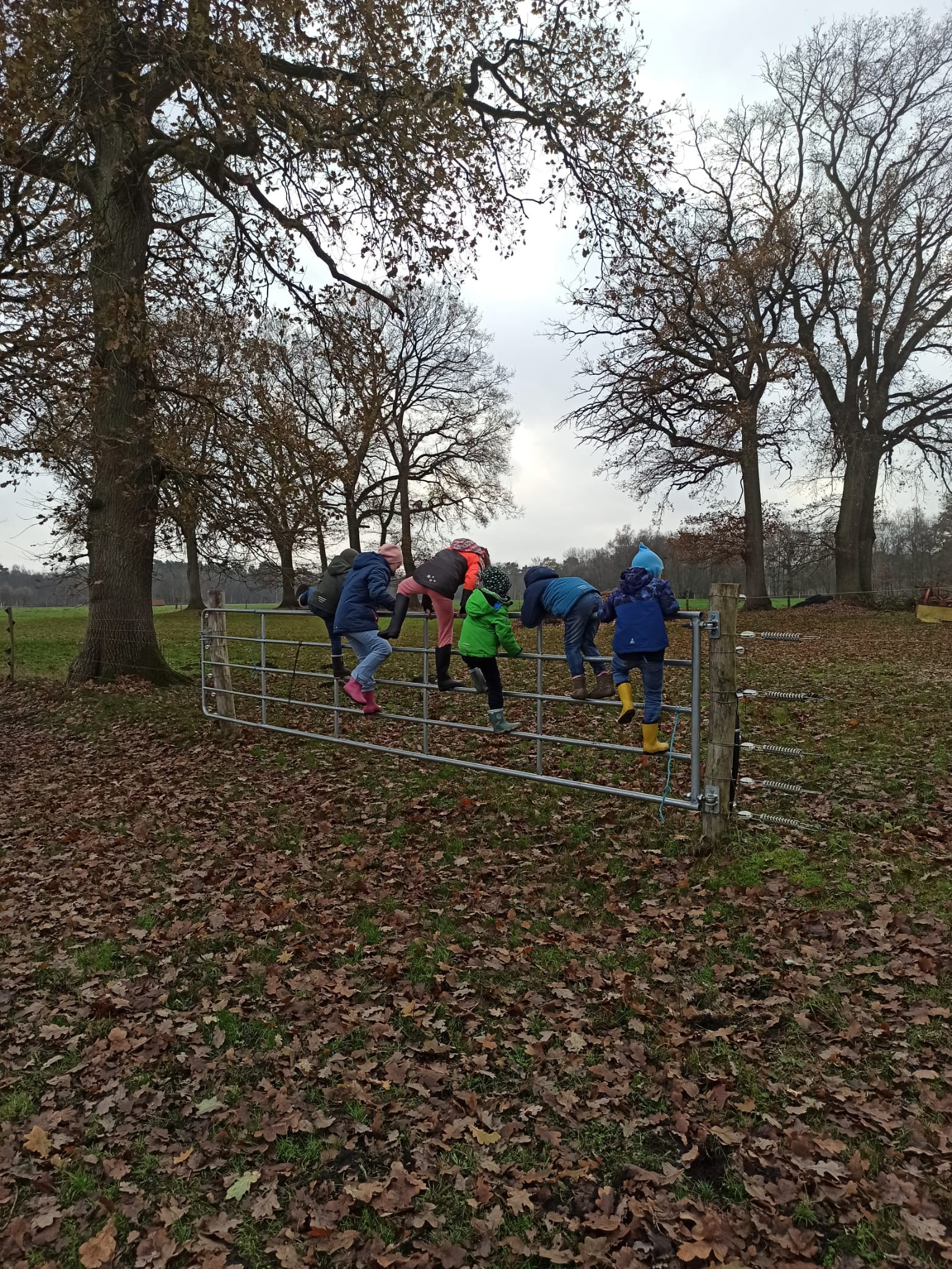 Kindergeburtstag im Seemannsland – Bild 3