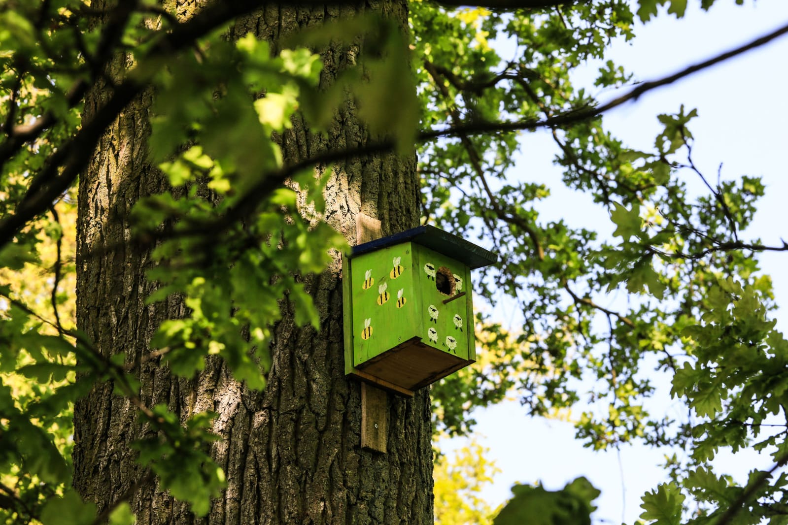Kinderwerkstatt im Seemannsland – Bild 12