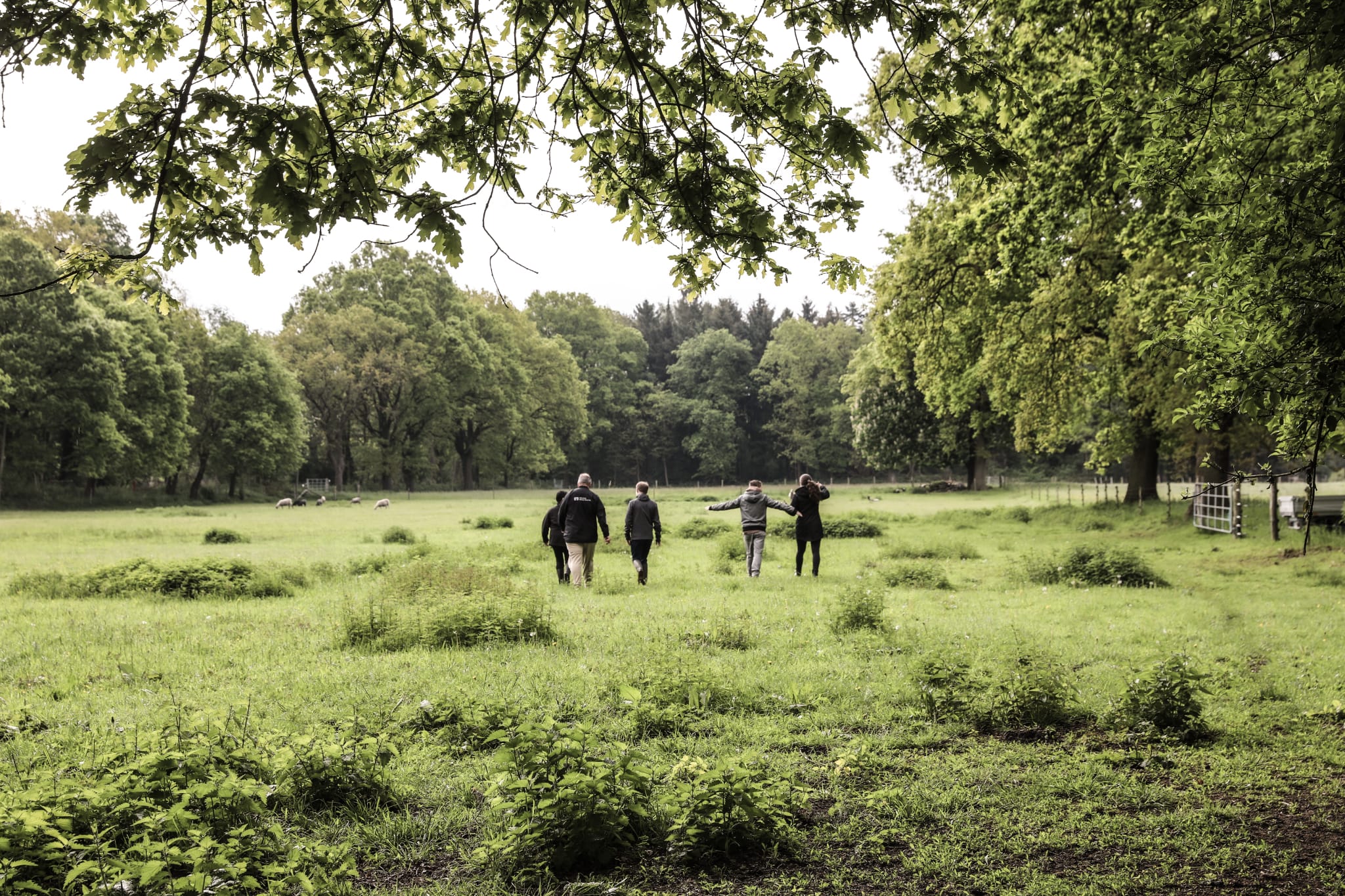 Teamtag im Seemannsland – Bild 3