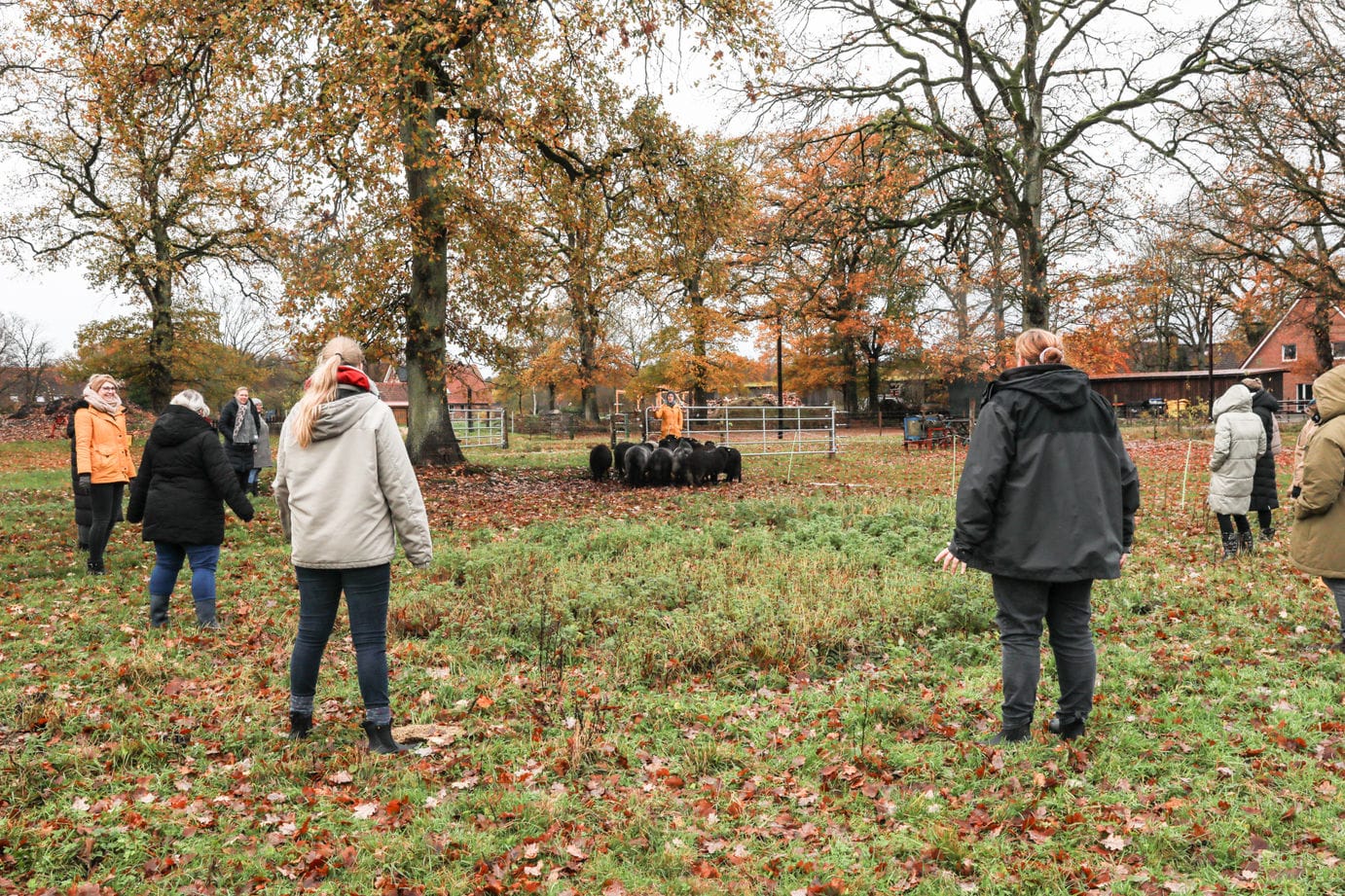 Teamtag im Seemannsland – Bild 15